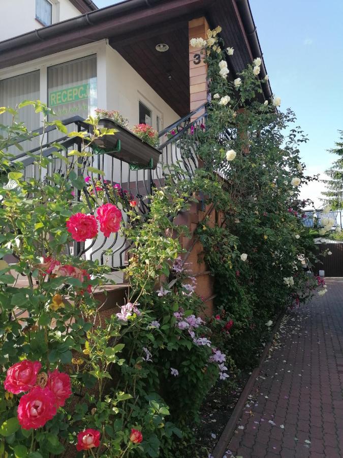 Ferienwohnung Gosciniec Pod Roza Chełmno Exterior foto